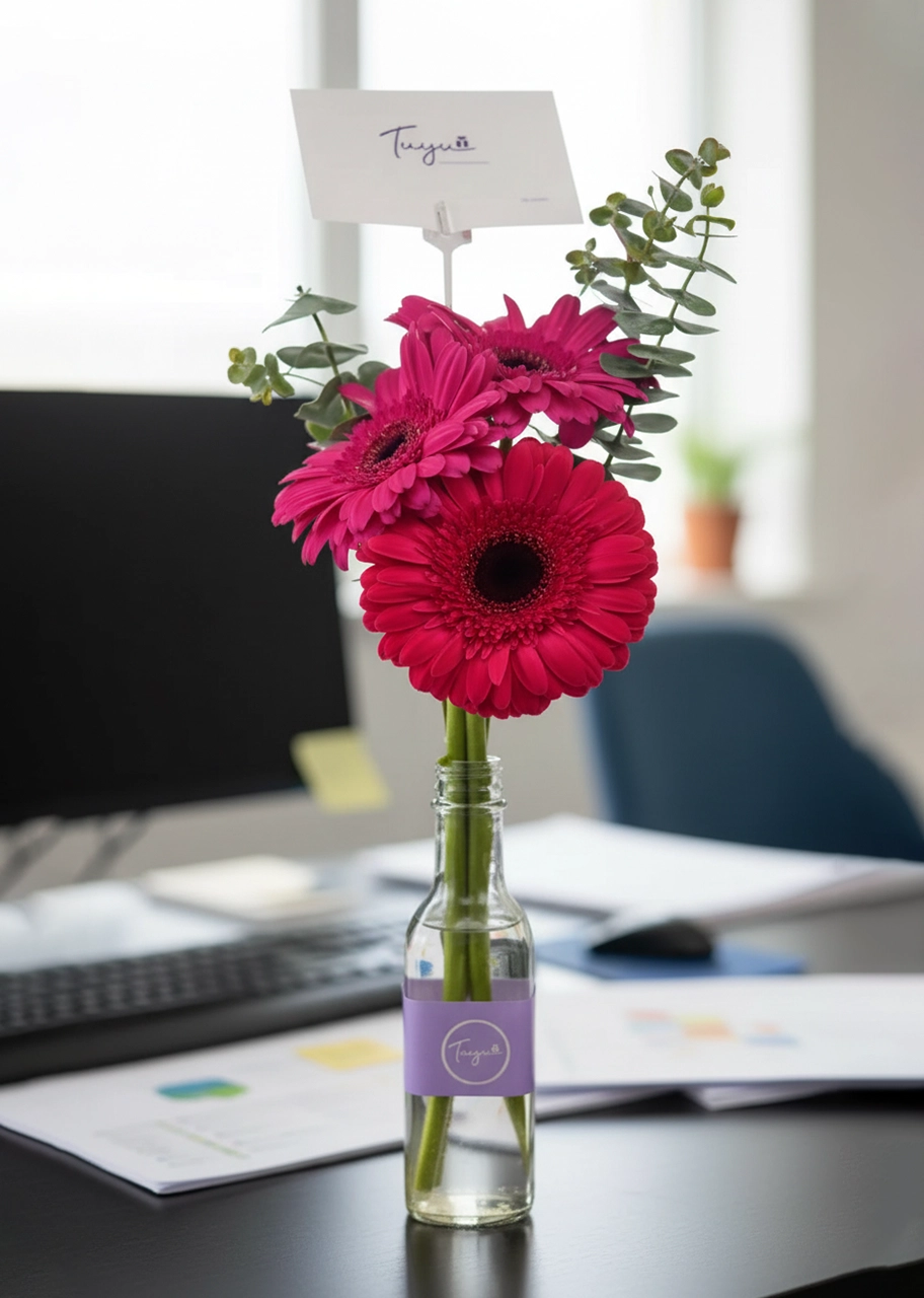 3 Alegres Gerberas para ti 