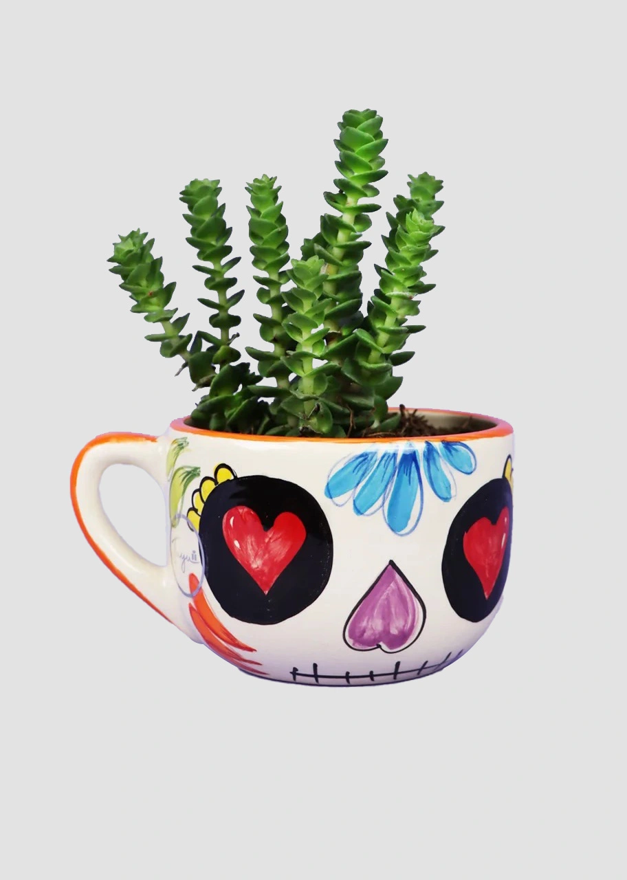 Suculenta en Taza de Catrina con  Ojos de Corazón 